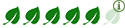 Rating scale6 leaves: Market leading - exceeding industry, peers and relevant benchmarks5 leaves: Exceeds the majority of industry, peer and relevant benchmarks4 leaves: Meets or exceeds industry, peers and relevant benchmarks3 leaves: Meets most, but may underperform some industry, peers and relevant benchmarks2 leaves: Meets some but underperforms the majority of industry, peers and relevant benchmarks1 leaf: Lags industry peers and relevant benchmarks 5 out of 6